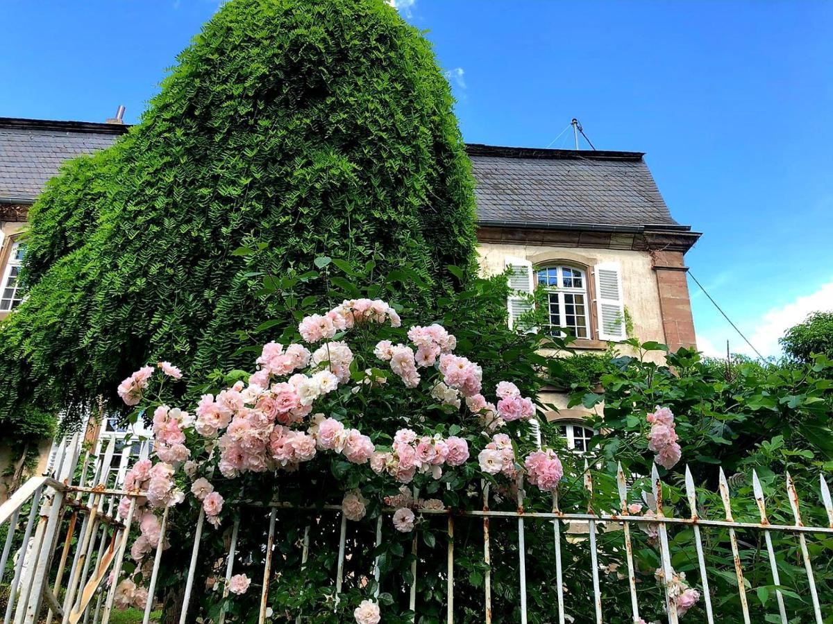 Schloss Hilbringen Merzig Buitenkant foto